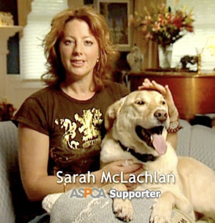 Magnify Intern 🧲 tweet media