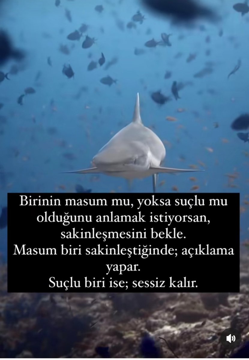 Esen Ozturk (@esenozturk41) on Twitter photo 