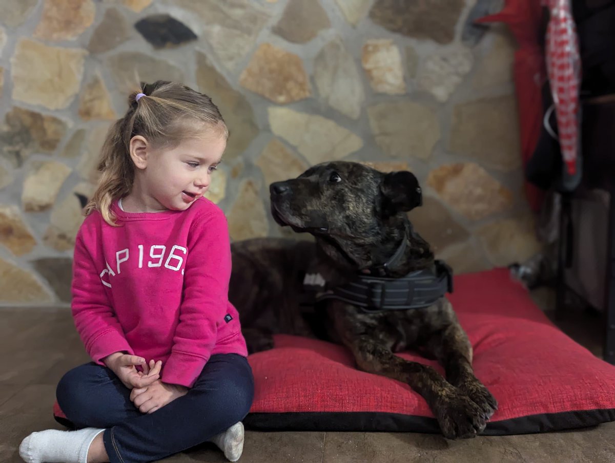 Roco es un mestizo de 3 añitos que esta buscando una familia definitiva.
Si no encontramos pronto una familia cuando termine el invierno volverá al CPA.. 😔