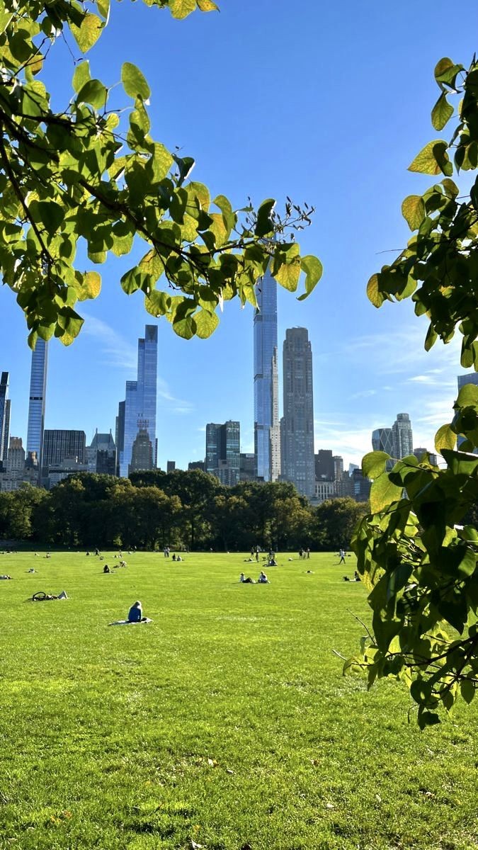 Conhecendo Central Park