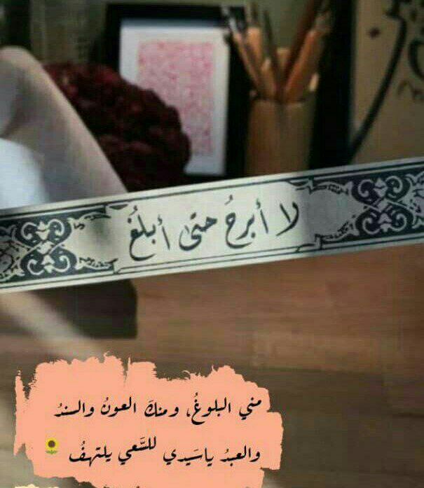 Hashim64442398's tweet photo. °

لاأبرحُ حتى أبلغ !

اجعلها عكازكَ لتعبرَ بها كما عبرَ موسىٰ إلى غايته.. https://t.co/VIHtceFmjp