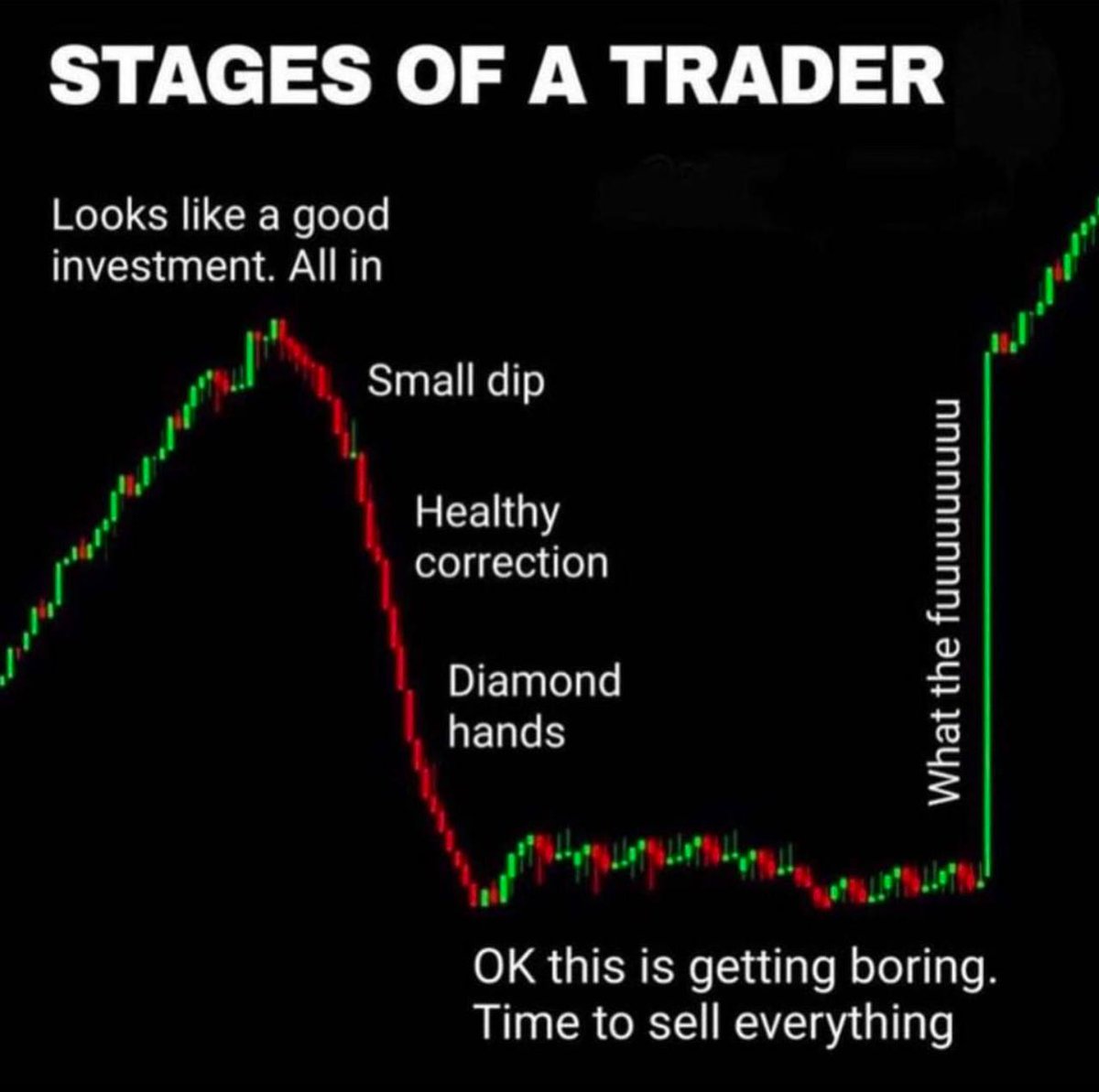 JakeGagain's tweet image. Welcome to memecoins.