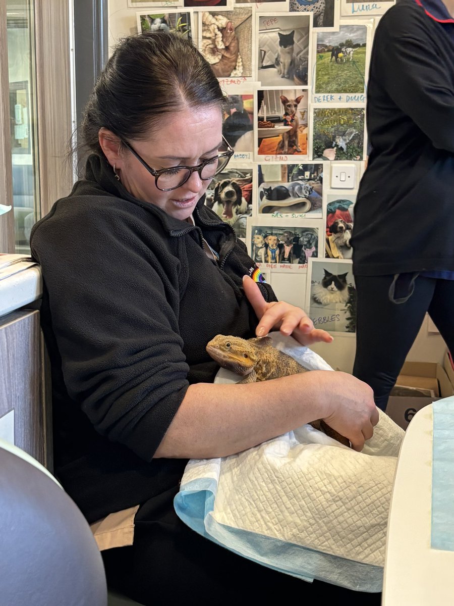 Carrie RMN tweet media