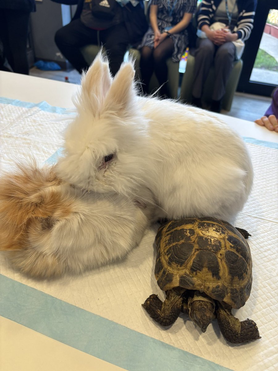 Carrie RMN tweet media