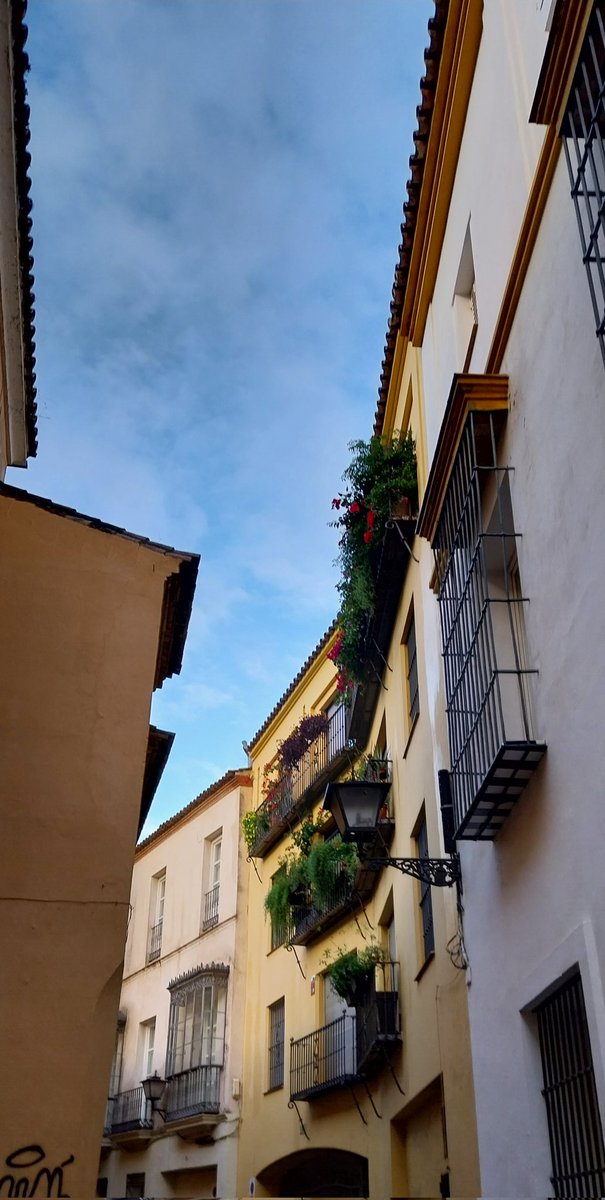 heyitsfrx's tweet photo. Sevilla ✨✨❤️ https://t.co/MyIez9i4uD