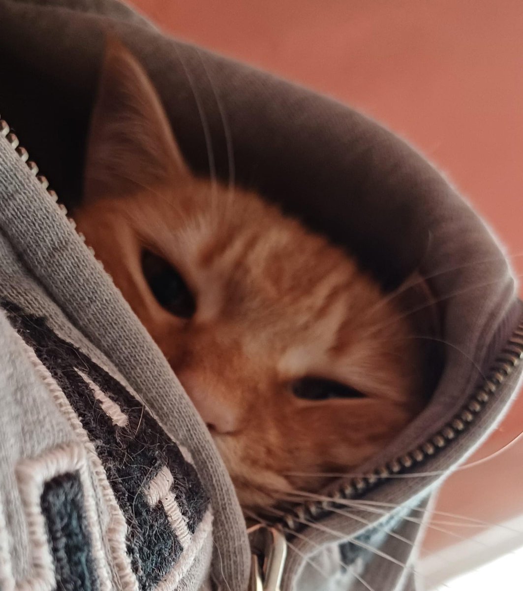 Ash🇻🇪 tweet media