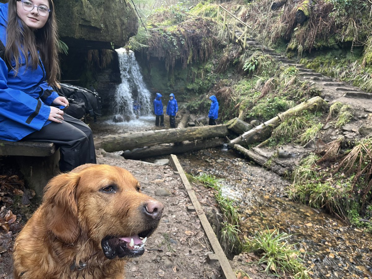 Braeview Guidance tweet media