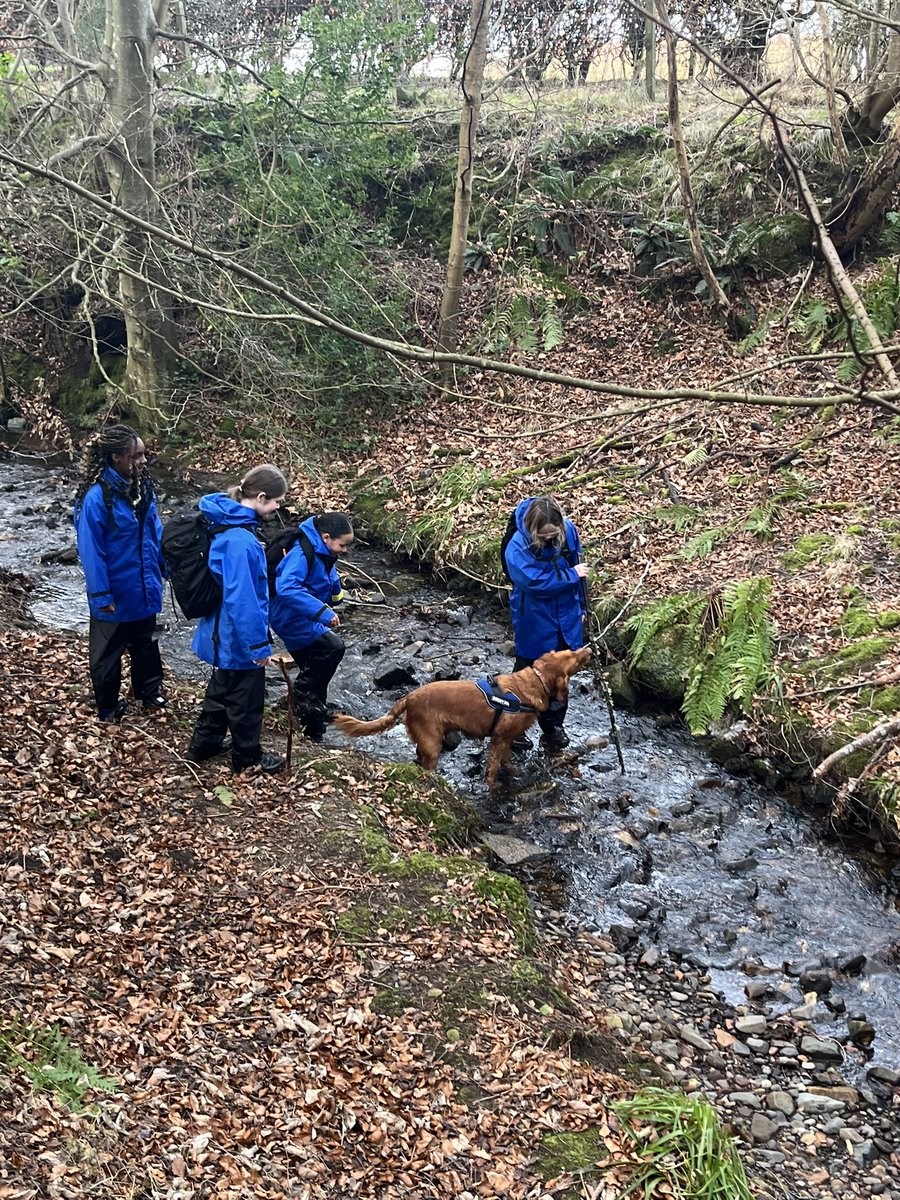 Braeview Guidance tweet media