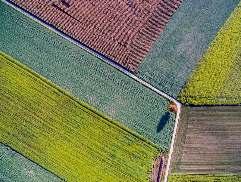 .<a href="/easierdataorg/">easierdata</a> is leveraging <a href="/Filecoin/">Filecoin</a> to address challenges related to data accessibility and storage, aiming to empower farmers with the tools to leverage advance technologies and preserve critical agricultural data for future generations.
