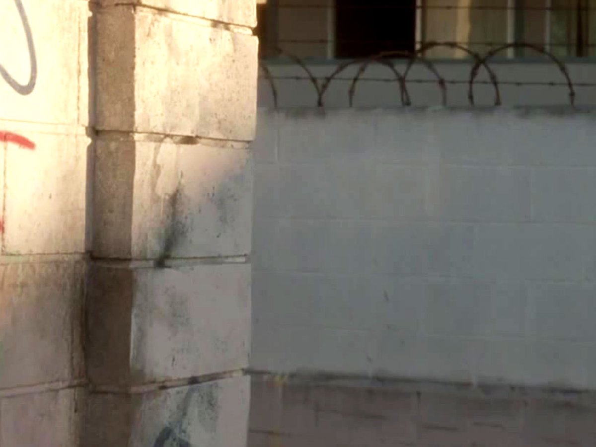 Linou (@linousaure) on Twitter photo 