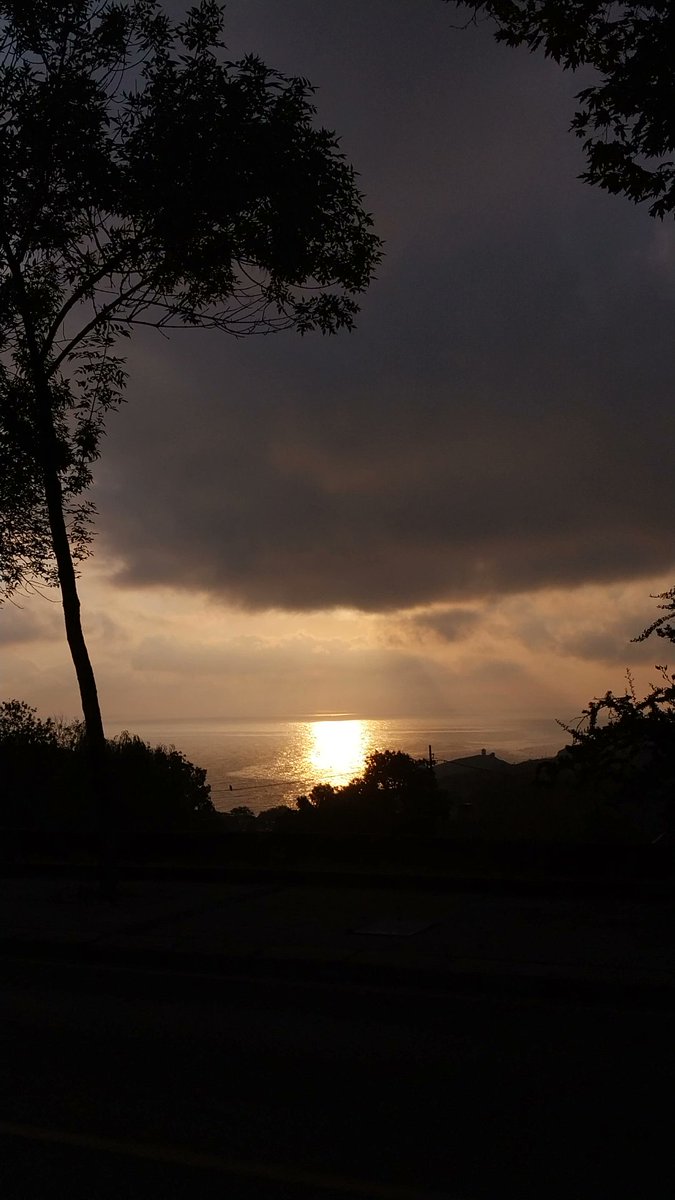 Yine bir kara kışın tam orta yerinde sarı bir yaz hayal ediyorum. Eski fotoğraflara dönüp baktığımda bir an olsun hissedebiliyorum da. 
Hissedebilmek ne güzel bir duygu.