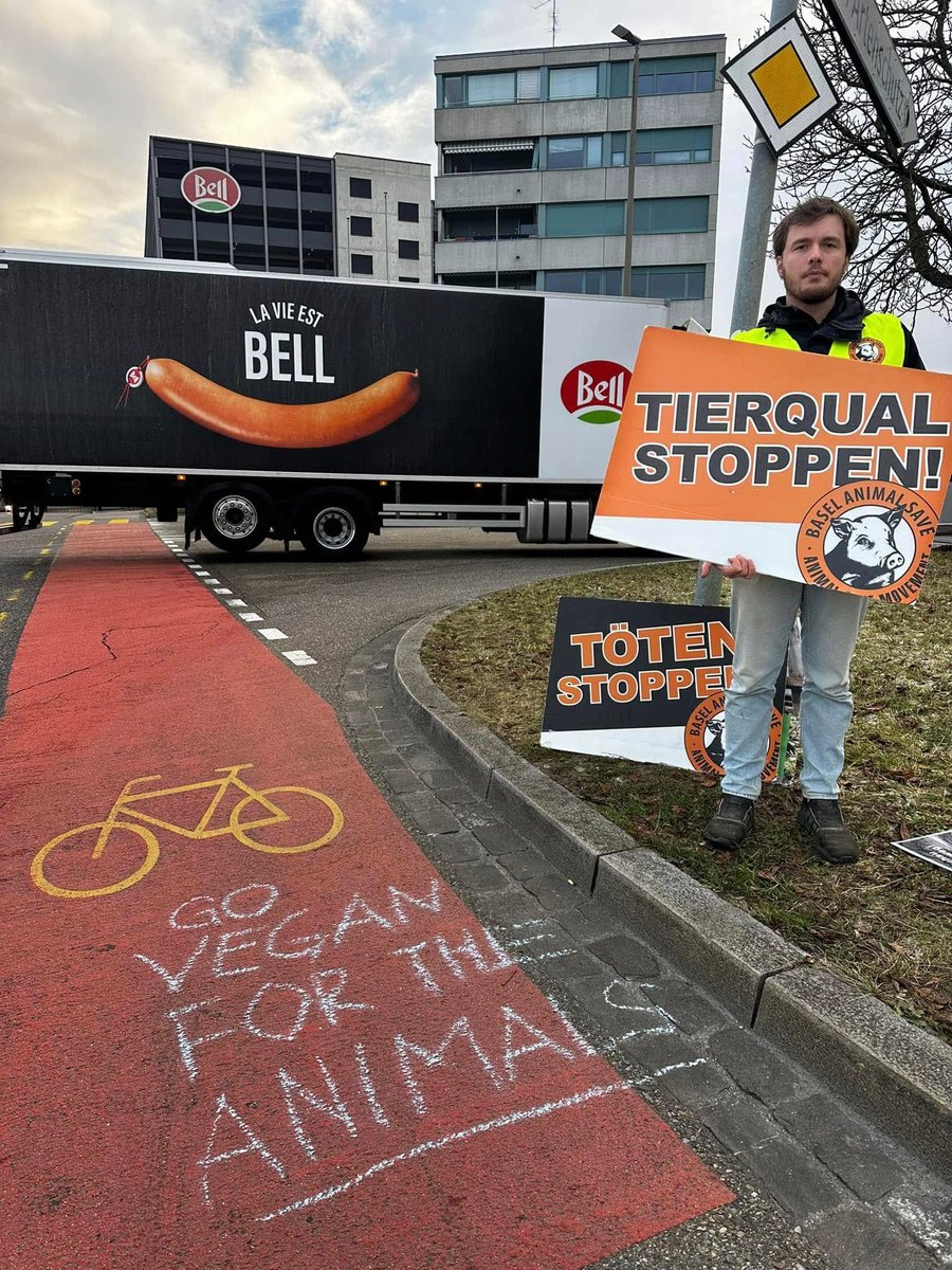 animalsavemvmt's tweet photo. When one person stands up and says no to injustice, it helps others to do so too.

Join us in stepping up to end the injustice. Be vegan &amp; get active to help them. 

Thanks to the activists who bravely stand up &amp; who hold vigils for the victims for Basel Animal Save. https://t.co/DyyqLAvDfW