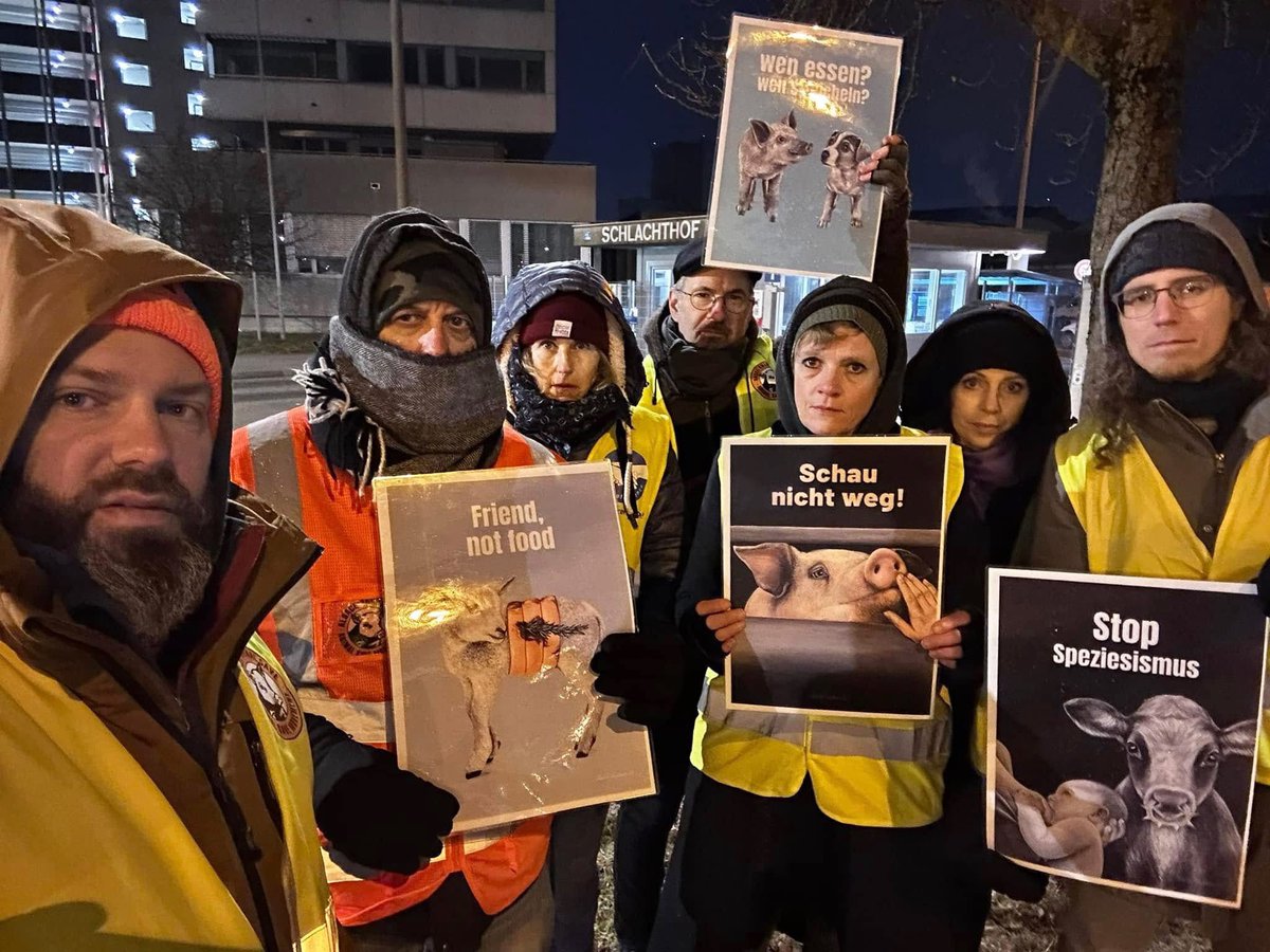 animalsavemvmt's tweet photo. When one person stands up and says no to injustice, it helps others to do so too.

Join us in stepping up to end the injustice. Be vegan &amp; get active to help them. 

Thanks to the activists who bravely stand up &amp; who hold vigils for the victims for Basel Animal Save. https://t.co/DyyqLAvDfW