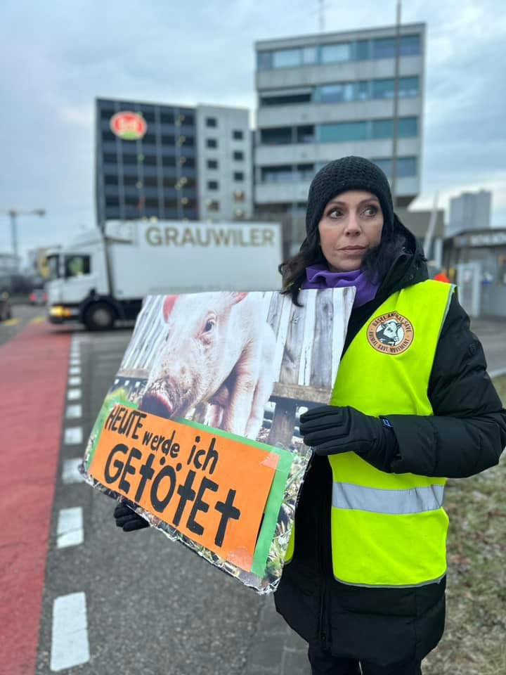 animalsavemvmt's tweet photo. When one person stands up and says no to injustice, it helps others to do so too.

Join us in stepping up to end the injustice. Be vegan &amp; get active to help them. 

Thanks to the activists who bravely stand up &amp; who hold vigils for the victims for Basel Animal Save. https://t.co/DyyqLAvDfW
