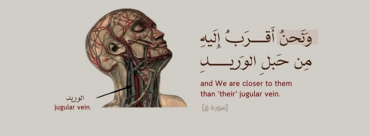 MuhFahed's tweet photo. 🤍 https://t.co/JKG9HvLR8v