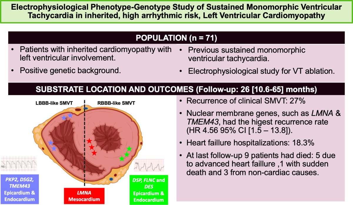 1/ 📢 Our latest research is now published!
ahajournals.org/doi/10.1161/CI…

What is the relationship between genotype and substrate localization in sustained monomorphic ventricular tachycardia?

Here are the key insights from this research: 🫀👇