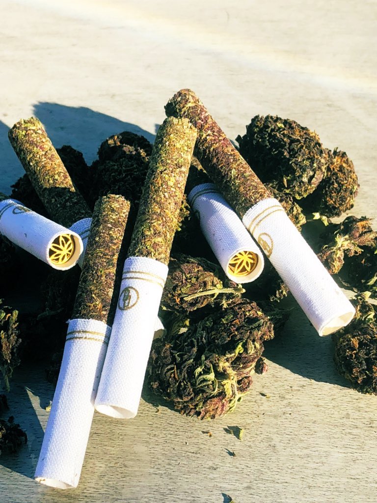 pureprerolls's tweet photo. @itsFoxCrypto Crypto millionaires💰💰
Exclusive kush joints 🔥🔥
STOP SMOKING PAPERS 🤮
All Pressed flower preroll organic 
Limited quantities each made to order
Celebrate your next crypto win in luxury https://t.co/rBYRoMwTPY