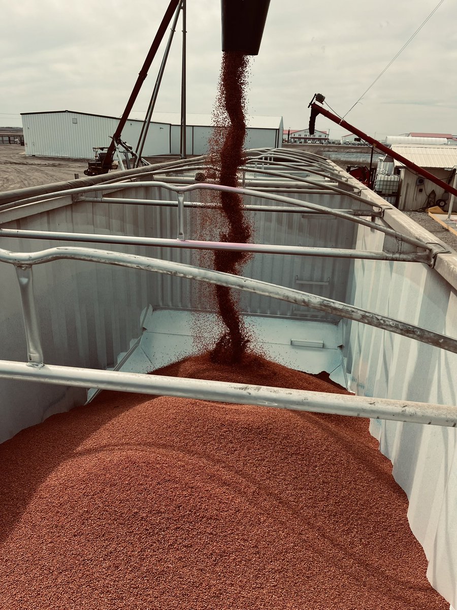 KirkJohn31's tweet photo. @PrecisionAg1 is offering special $ savings by booking seed treatments and custom treating by Feb 15th. We also have new Storms in Carlyle and upgrades to Griffins KSI, stay tuned for updates ! #plant25 https://t.co/MoB7qx2eIr