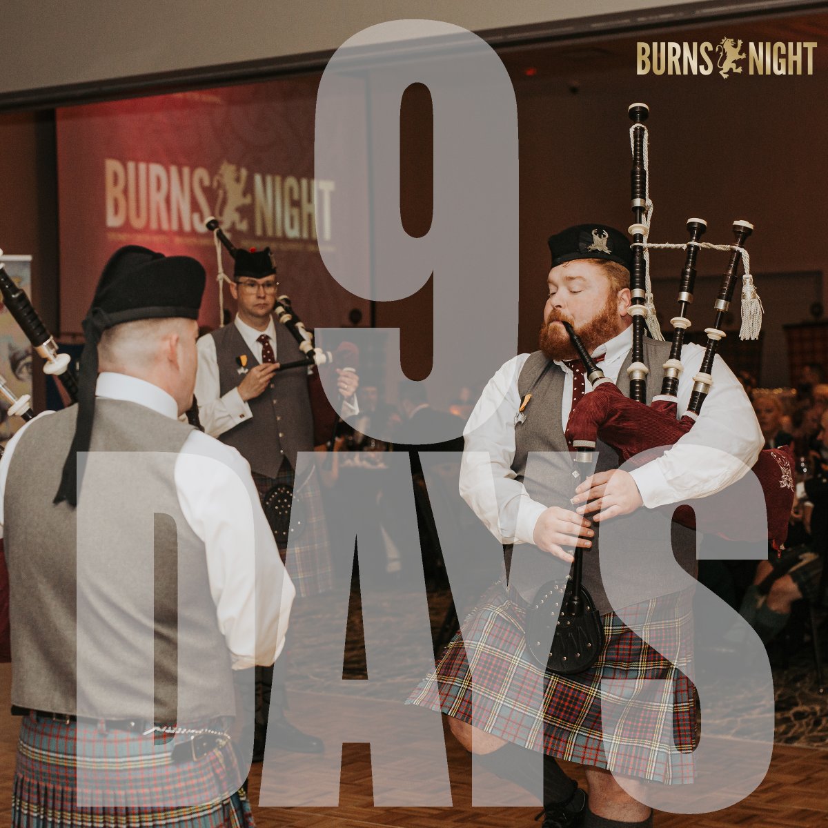 OKSCOTFEST tweet media