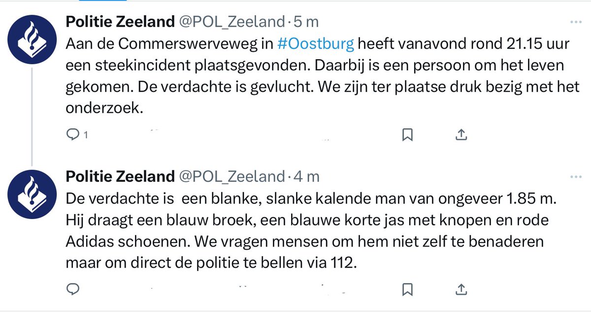 Dodelijk steekincident in Oostburg: Politie zoekt verdachte