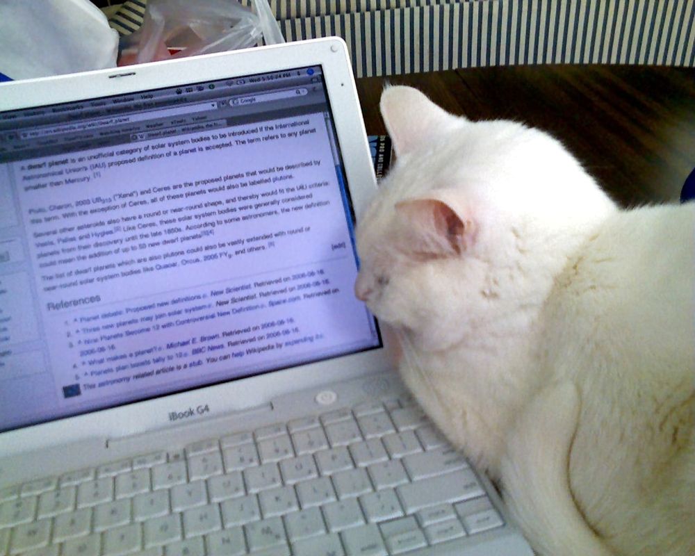 treenytop's tweet photo. Thank you for joining me on reading the Cats and the Internet wiki article. It was a very serious stream and we all took it very seriously, as the Gregs that we are. https://t.co/wuEDhsZuOi