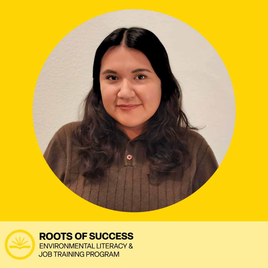 Roots of Success tweet media