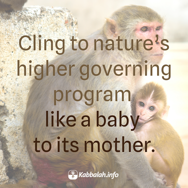 Kabbalahinfo's tweet photo. Cling to nature’s higher governing program like a baby to its mother.

To learn more about #kabbalah, join a free online course at KabU >>  https://t.co/qHCYtqkPCK

#lawsofnature #upperforce #harmony #pleasure #careofothers #fulfillment https://t.co/qK75KhSyP9