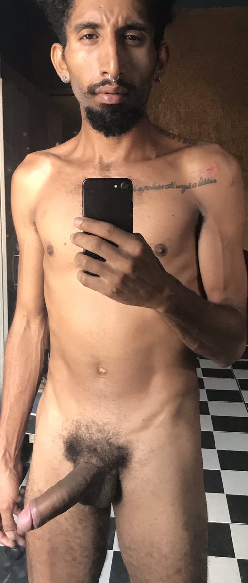 Felipão Dog tweet media