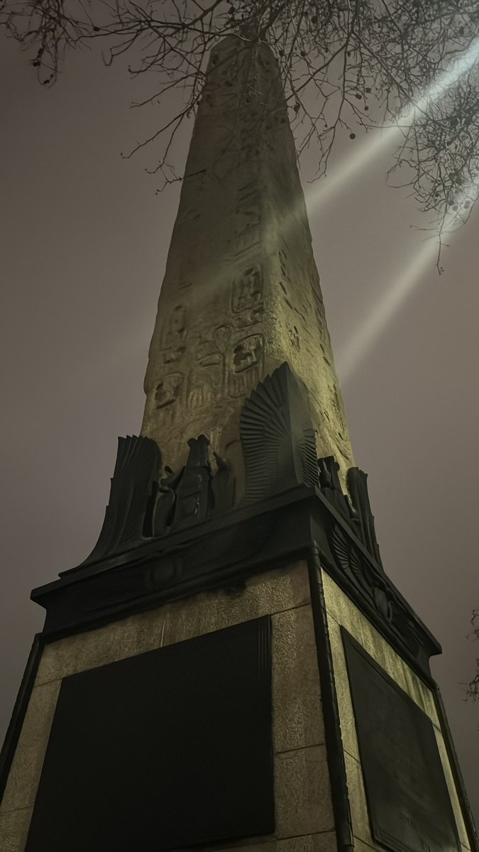 Sam Shapley 🇬🇧 tweet media