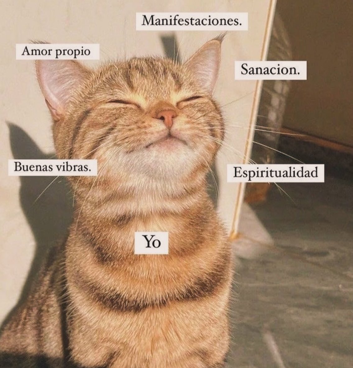 culturaliteral1's tweet image. 