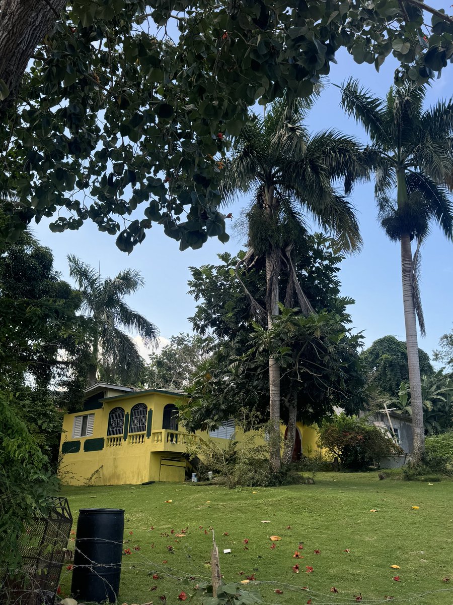 missglamorous's tweet photo. This year, I’d love the opportunity to collaborate with talented creatives, both locally and internationally, to bring fresh, inspiring projects to life in Jamaica.🇯🇲 https://t.co/mK5nVNhhed