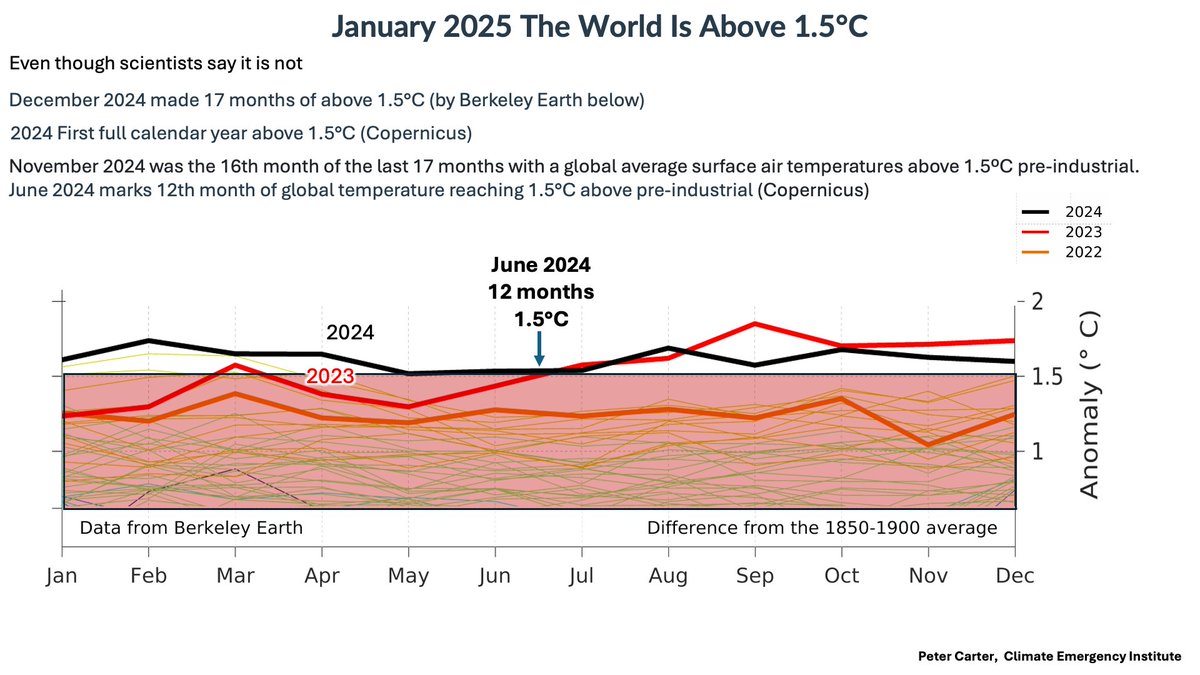 Peter D Carter tweet media