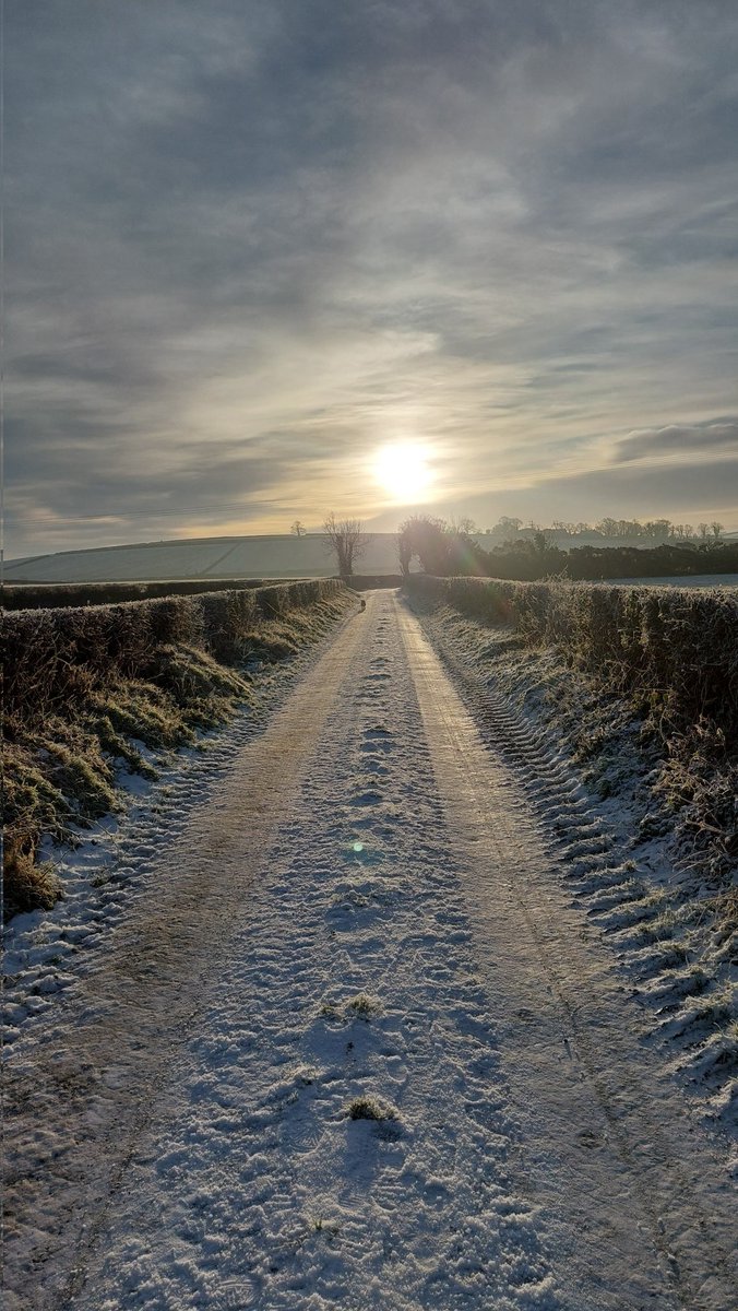 Magical moment from last week's snow...

#Donegal
