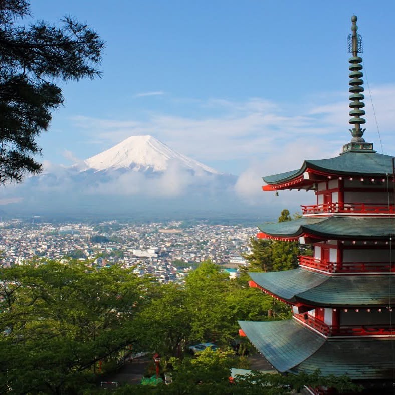 According to the US Department of State, it takes 2200 hours (approximately 88 weeks) to become fluent in Japanese! There’s no better time than now to begin your Japanese language learning journey with a  live online instructor! #langtwt