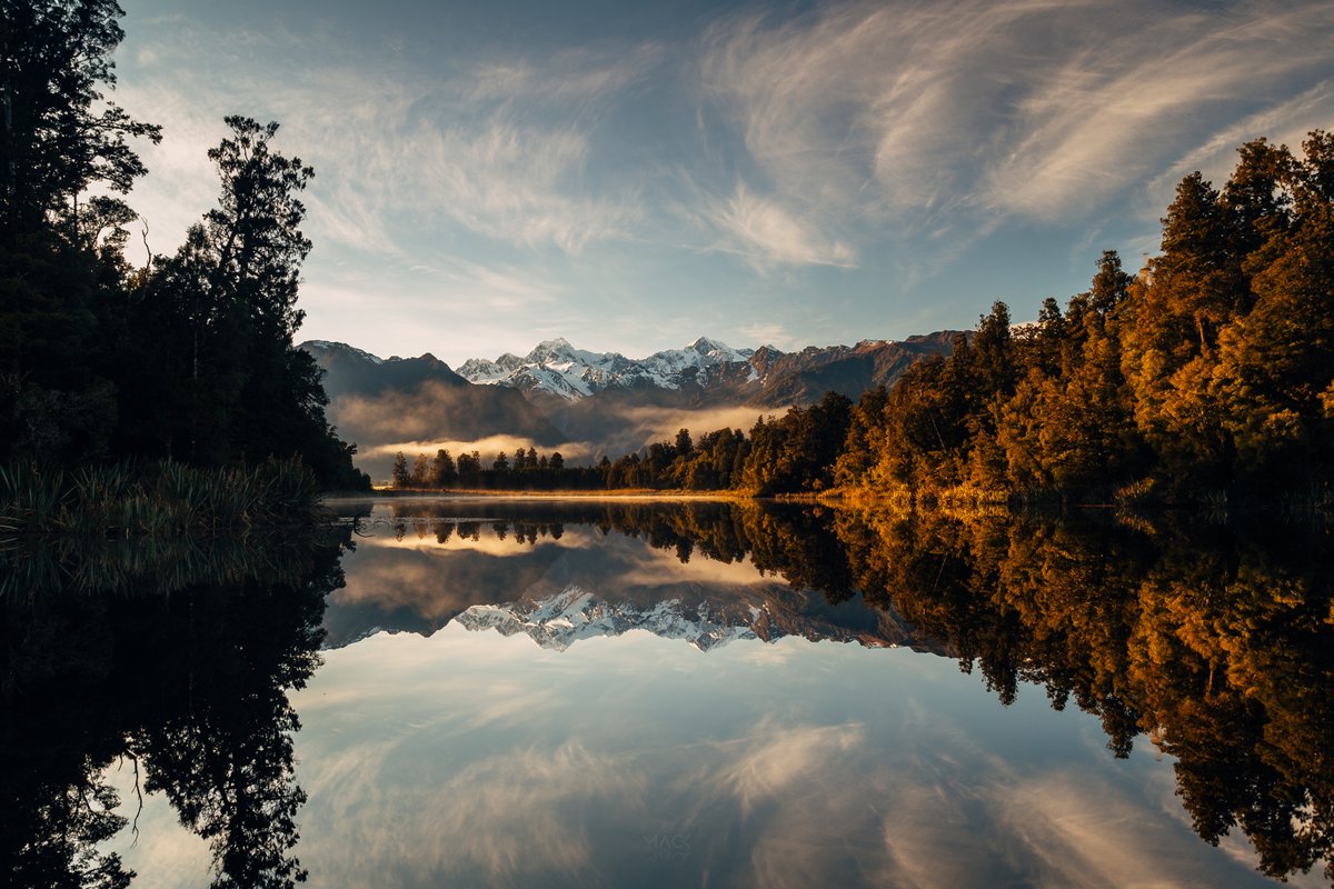 Mikey Mack tweet media