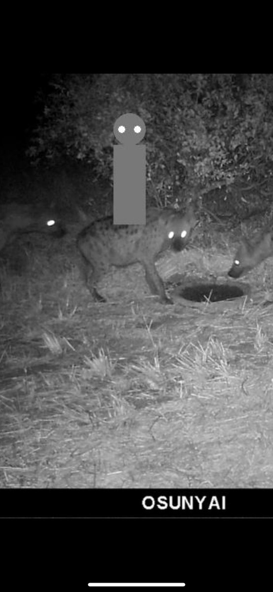 Syk utvikling på ChatGPT AI