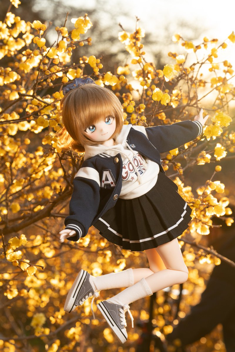 fuyux2's tweet image. 蝋梅と #ぽもろこ