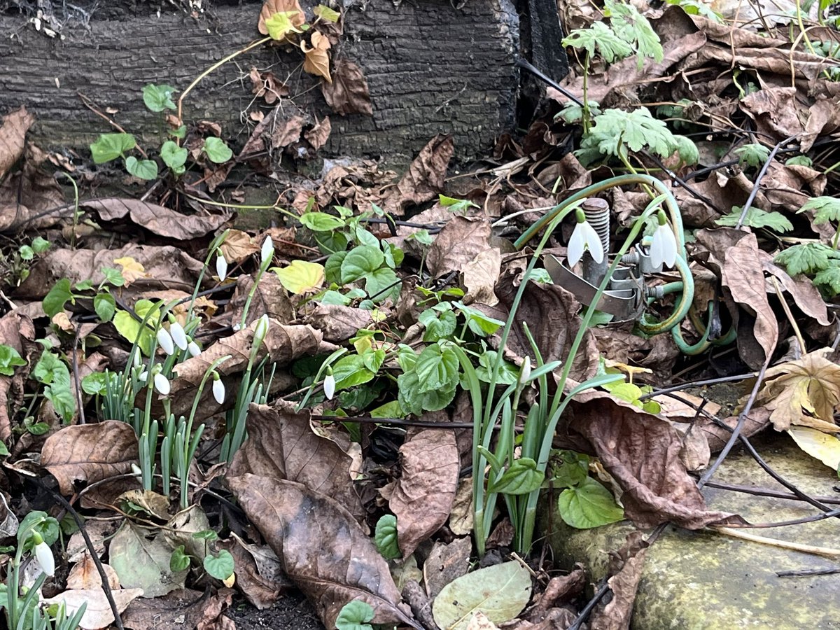 Kate Stanton tweet media