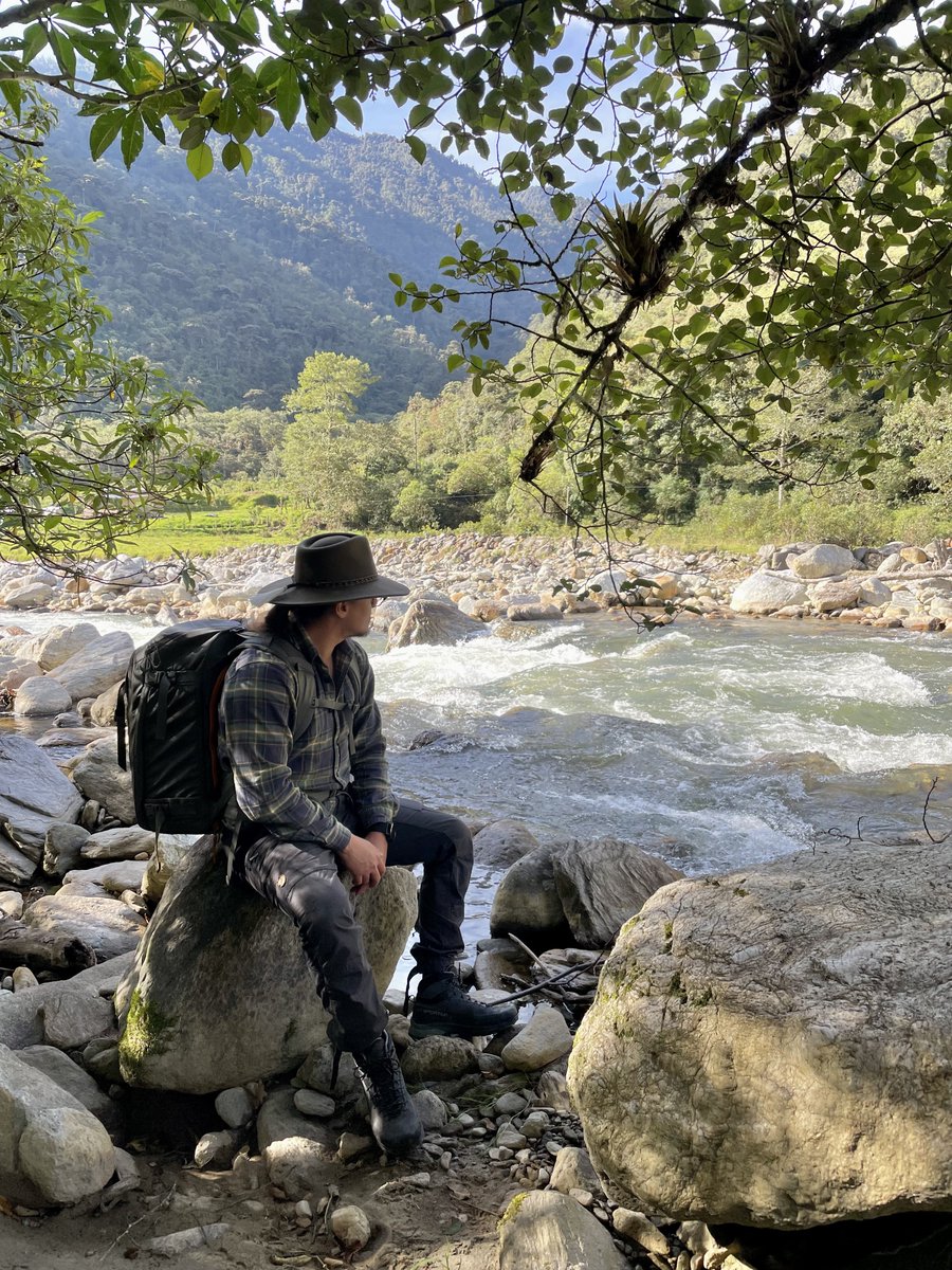 Roberto Valdez tweet media