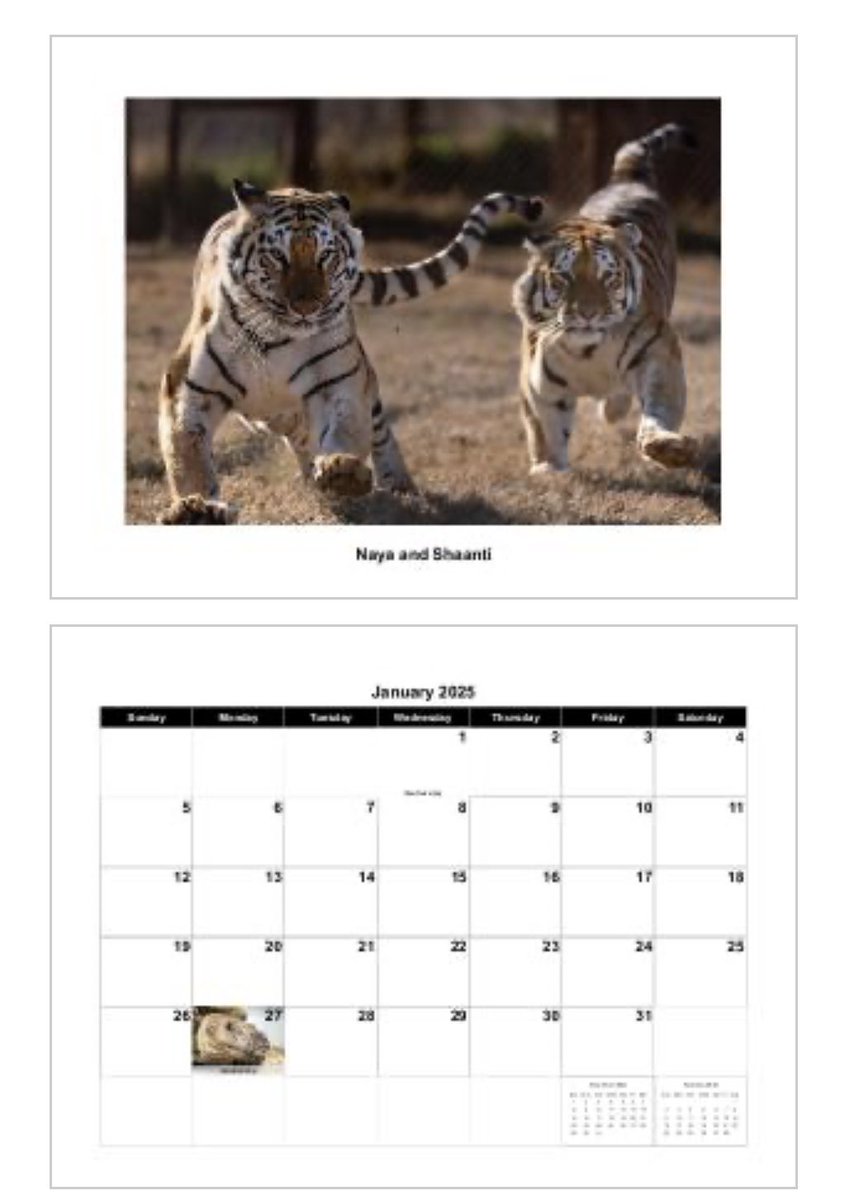 It’s not to late to grab a 2025 CARE calendar!!! Get yours now and support the kitties! 

createphotocalendars.com/Store/CARE+202…

#daretocare #carerescuetexas #nonprofit