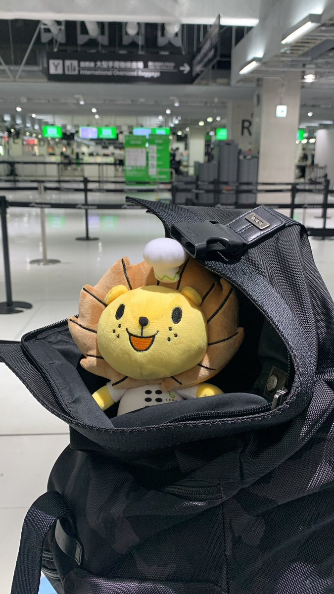 LiBERTAPINYA's tweet photo. いまからドッジボール大会出場のため、台湾🇹🇼行ってくるよん！
れおっくんのパスポート申請忘れたから座席には座れません💦
#leoc #スポーツ #国際ドッジボール #foamdodgeball #dodgeball
@leoc_official https://t.co/jqoyDwdhEp