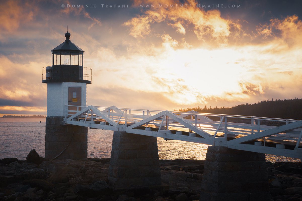 Dominic Trapani tweet media