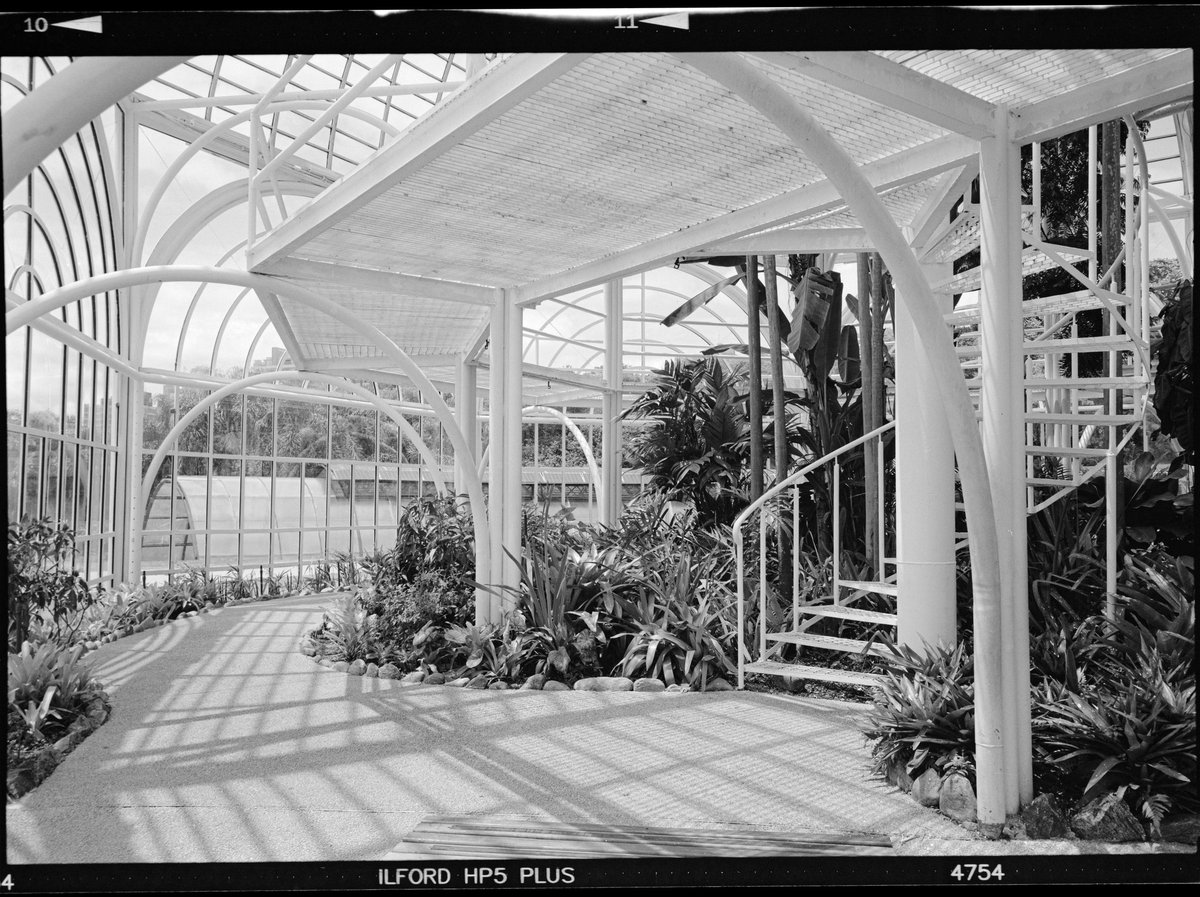 frctl_art's tweet image. Inside the Greenhouse, Curitiba 🇧🇷
Ilford HP5+ medium format 🎞️
#ilfordphoto #fridayfavourites #bestof2024