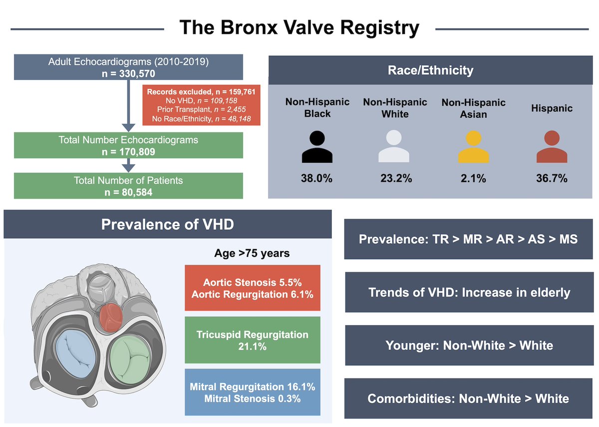 Andrea Scotti (@andreascotti21) on Twitter photo 🌐Burden of Valvular Heart Diseases in a Diverse Population: The Bronx Valve Registry
🎯There is a clear need for more DIVERSE participation in clinical trials
🔗 ahajournals.org/doi/full/10.11…
<a href="/azeemlatib/">Azeem Latib</a> @MatteoMSturla <a href="/jcecharte/">Julio Echarte</a>
<a href="/MonteHeart/">Montefiore Heart</a> <a href="/MontefioreNYC/">Montefiore Health System</a> <a href="/EinsteinMed/">Albert Einstein College of Medicine - Official</a> <a href="/JAHA_AHA/">JAHA</a> 🌐Burden of Valvular Heart Diseases in a Diverse Population: The Bronx Valve Registry
🎯There is a clear need for more DIVERSE participation in clinical trials
🔗 ahajournals.org/doi/full/10.11…
<a href="/azeemlatib/">Azeem Latib</a> @MatteoMSturla <a href="/jcecharte/">Julio Echarte</a>
<a href="/MonteHeart/">Montefiore Heart</a> <a href="/MontefioreNYC/">Montefiore Health System</a> <a href="/EinsteinMed/">Albert Einstein College of Medicine - Official</a> <a href="/JAHA_AHA/">JAHA</a>