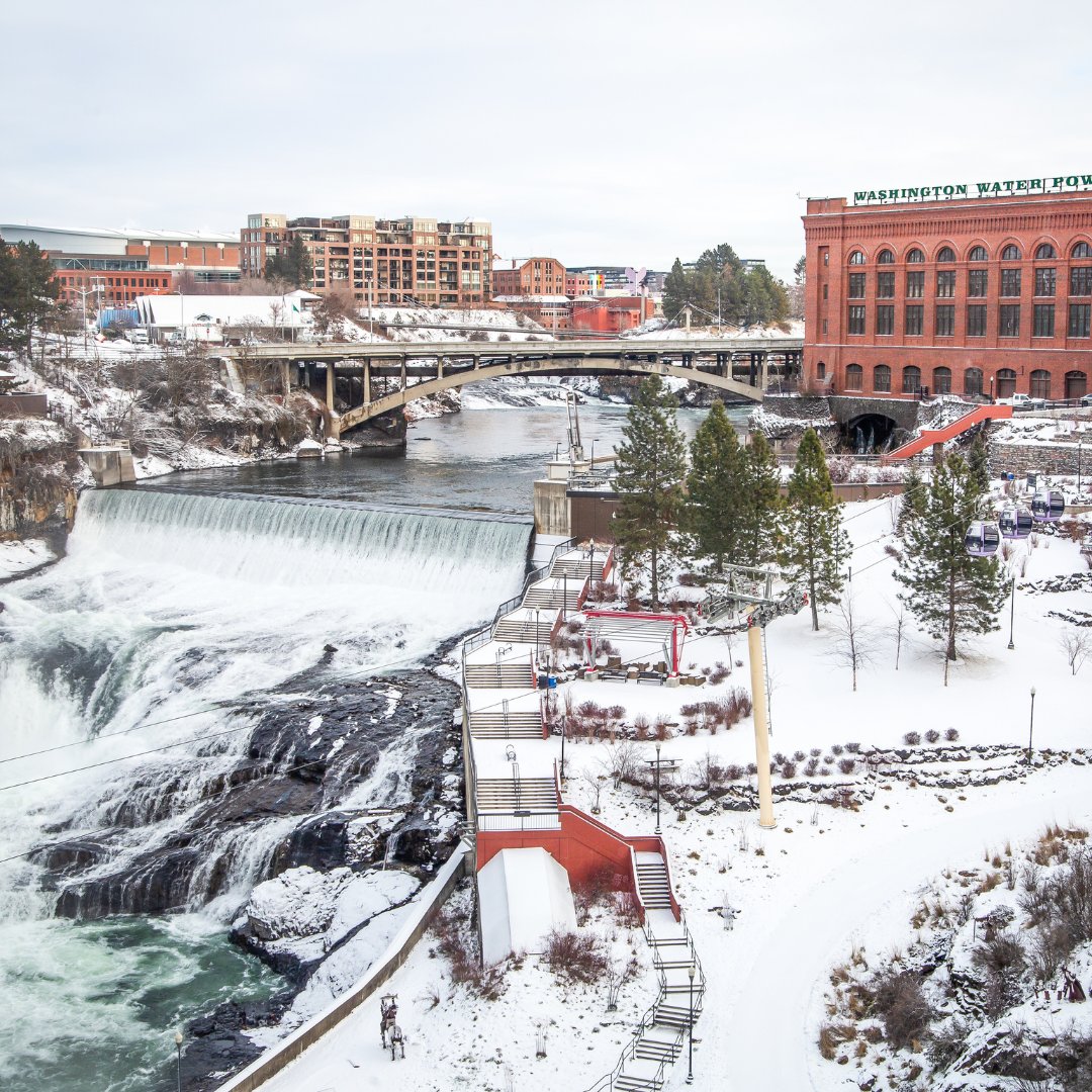 Sip Magazine tweet media