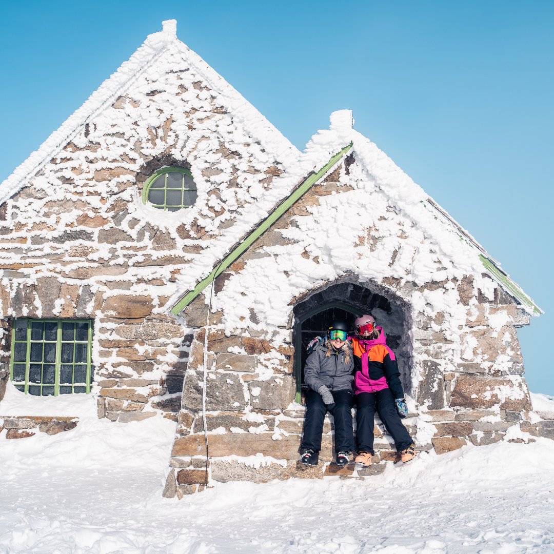 Sip Magazine tweet media