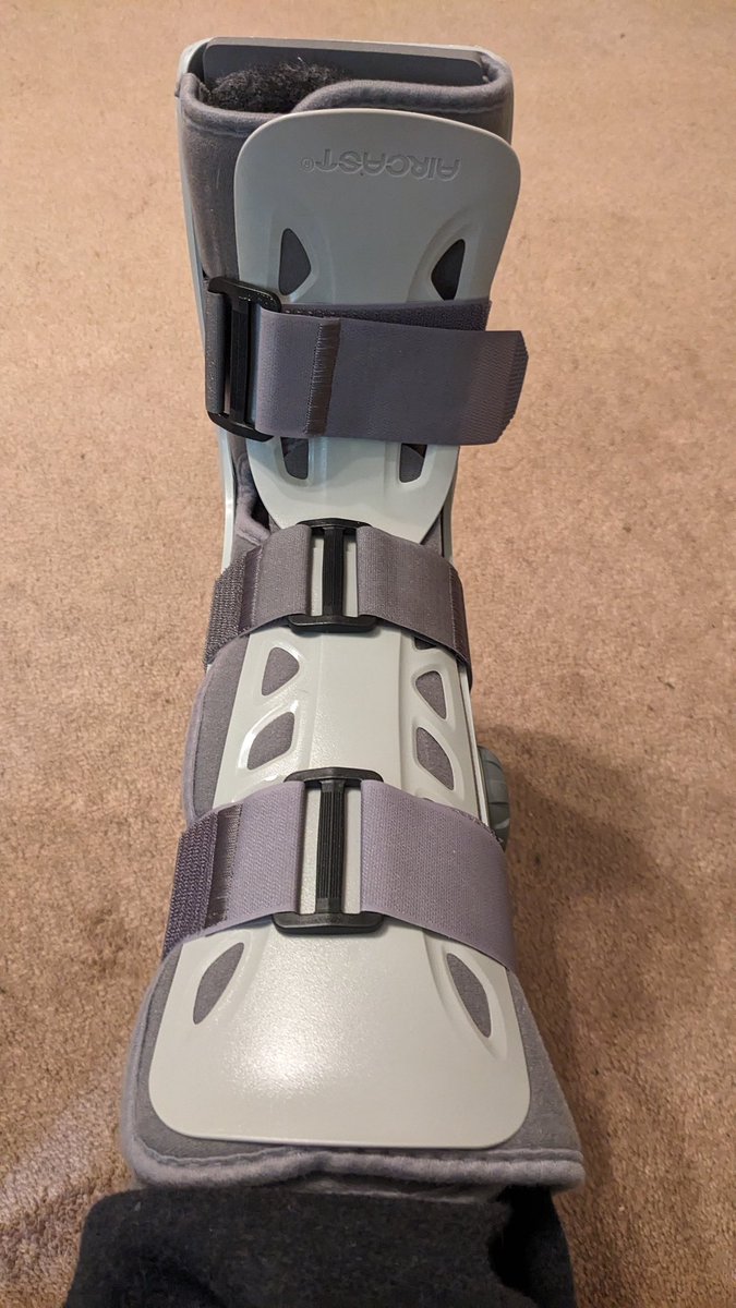 Karyn Curtis🇨🇦🐎 tweet media