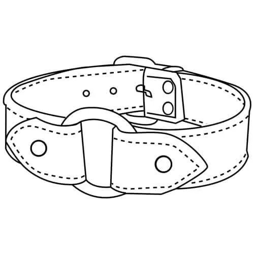 I just received a contribution towards Collar and Tag from xserris via Throne. Thank you! throne.com/ayamebee #Wishlist #Throne