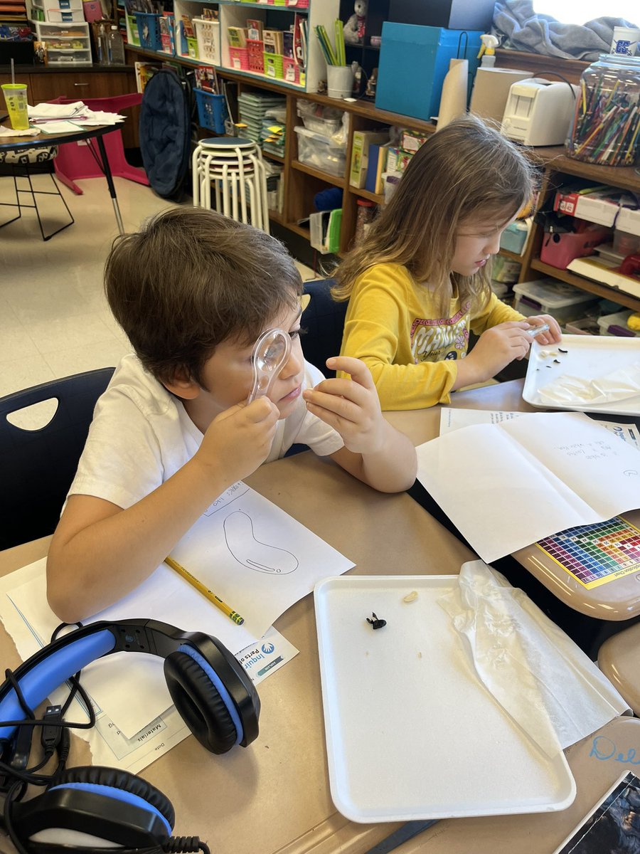 West Elementary School tweet media