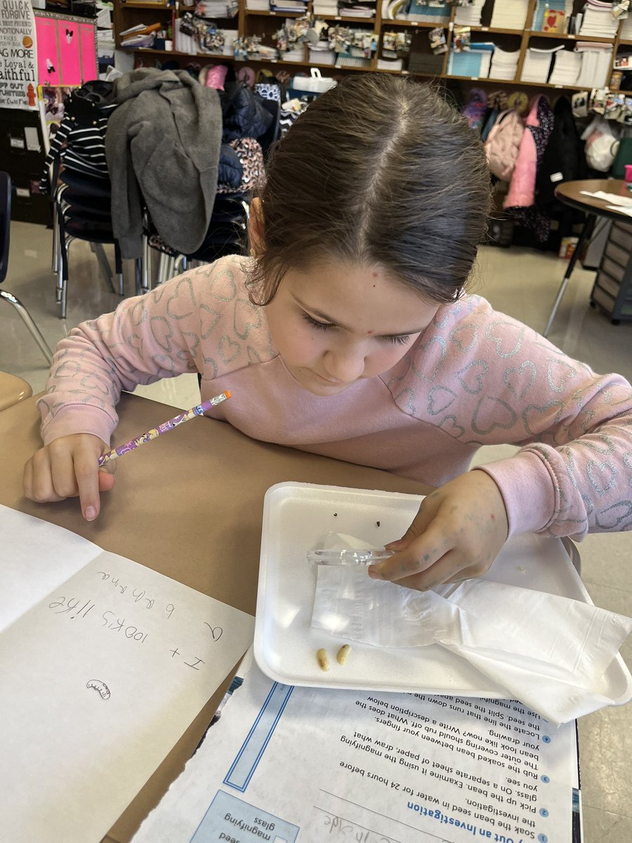 West Elementary School tweet media